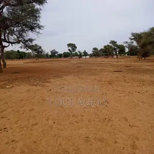 Photo - Terrain De 1,54 Hectare Vers Touba Toul