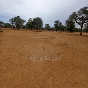 Terrain De 1,54 Hectare Vers Touba Toul
