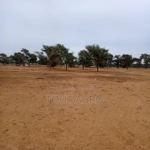 Terrain De 1,54 Hectare Vers Touba Toul
