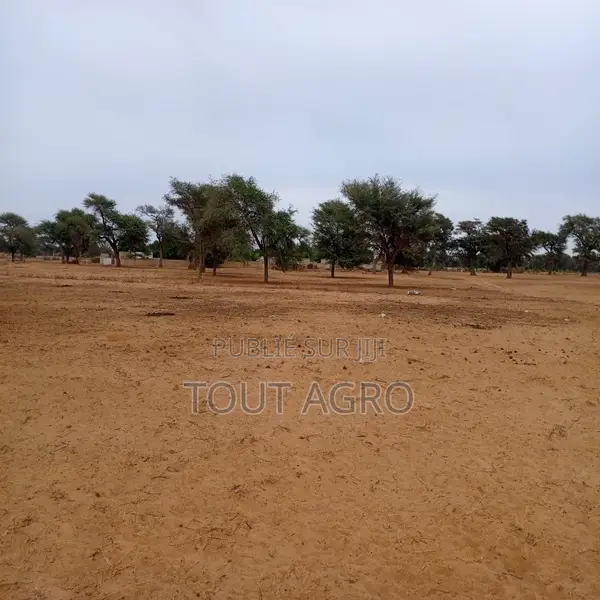 Terrain De 1,54 Hectare Vers Touba Toul
