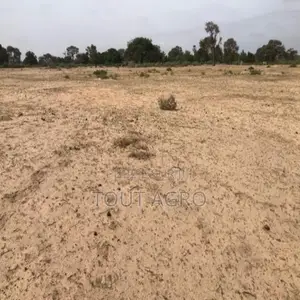 Photo - Terrain De 3 Hectares Vers Tassette
