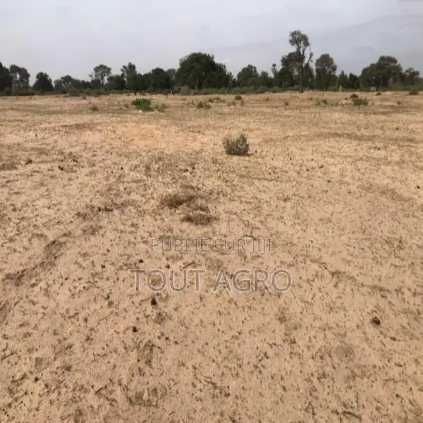 Terrain De 3 Hectares Vers Tassette