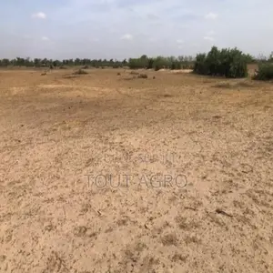 Terrain De 3 Hectares Vers Tassette