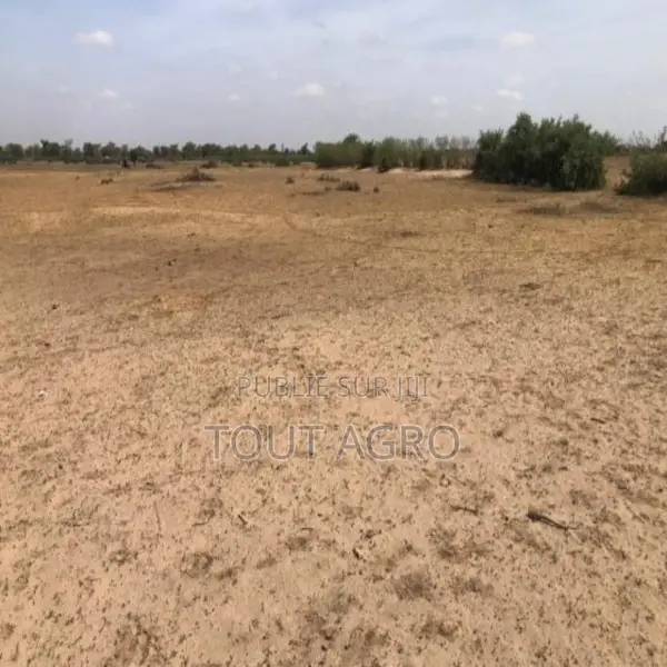 Terrain De 3 Hectares Vers Tassette