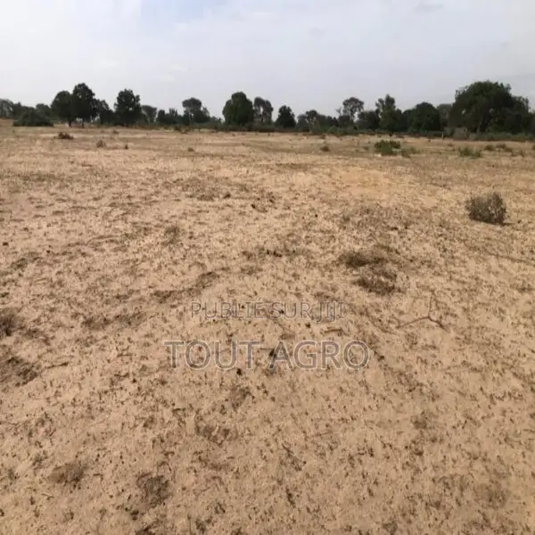 Terrain De 3 Hectares Vers Tassette