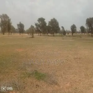 Terrain De 3 Hectares Vers Koul