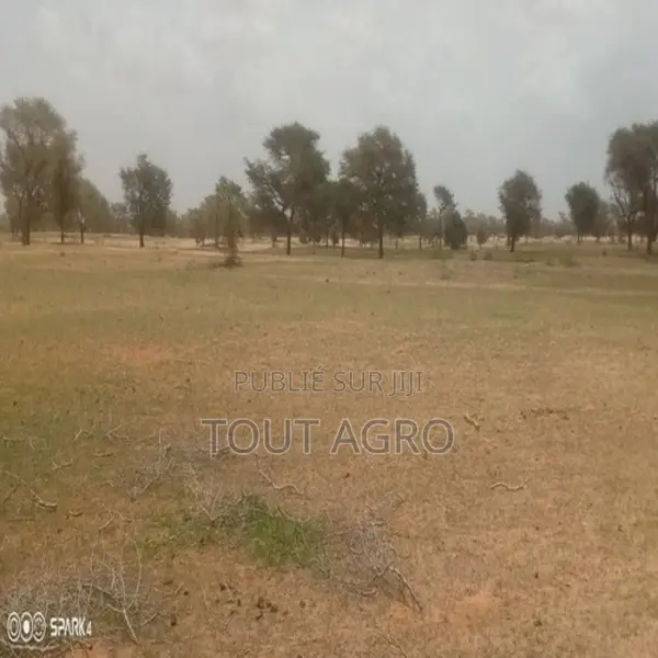 Terrain De 3 Hectares Vers Koul