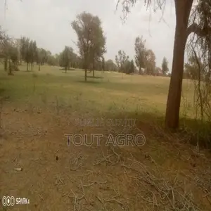 Terrain De 3 Hectares Vers Koul