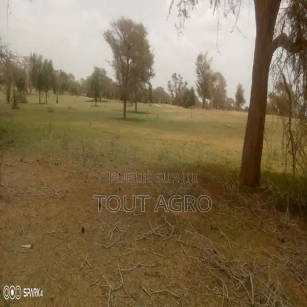 Terrain De 3 Hectares Vers Koul