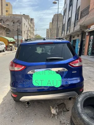 Ford Escape 2014 Bleu