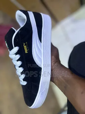 Photo - Puma Xl Kin_model 243