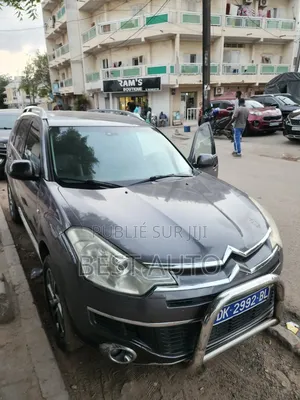Photo - Citroen C-Crosser 2011 Gris