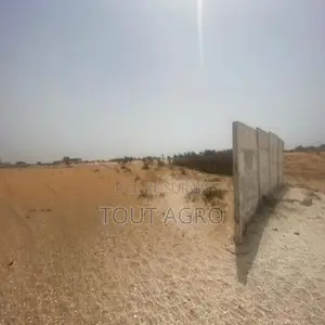 Photo - Terrain De 8 Hectares Vers Kayar