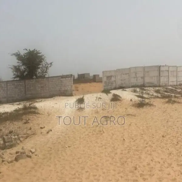 Terrain De 8 Hectares Vers Kayar