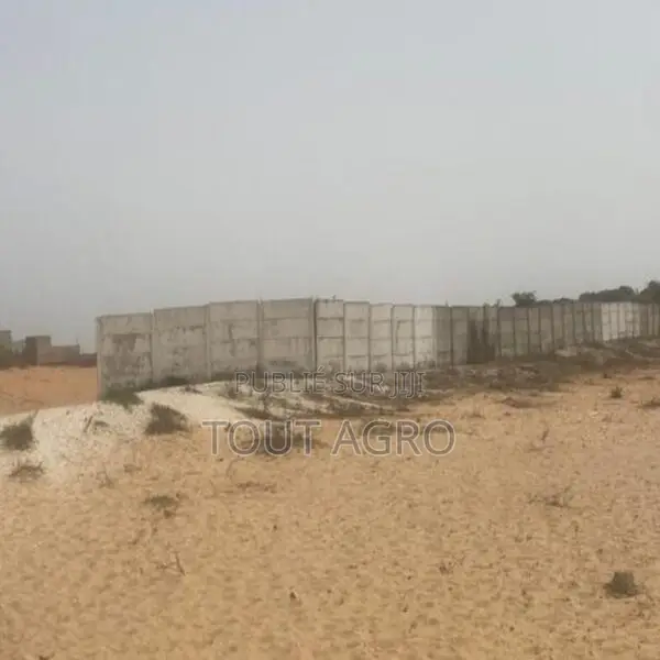 Terrain De 8 Hectares Vers Kayar