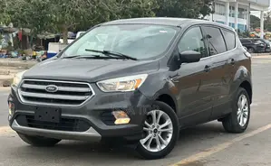 Ford Escape 2017 Gris