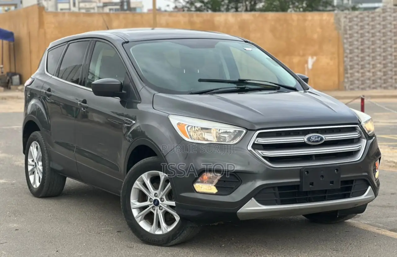 Ford Escape 2017 Gris