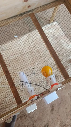 Poussinière Automatique