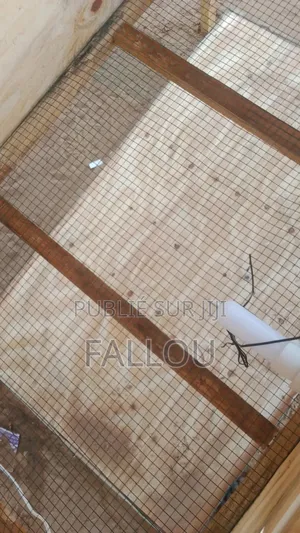 Poussinière Automatique