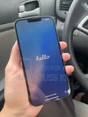 Photo - New Pomme iPhone 13 Pro Max 256 GB Gris