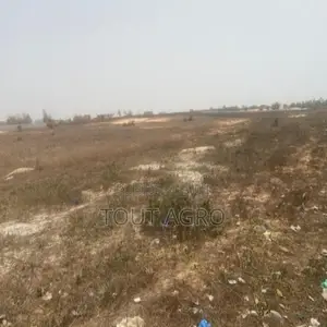 Terrain De 4,03 Hectares Vers Kayar