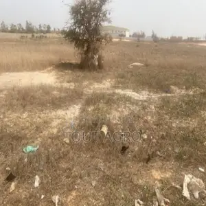 Terrain De 4,03 Hectares Vers Kayar