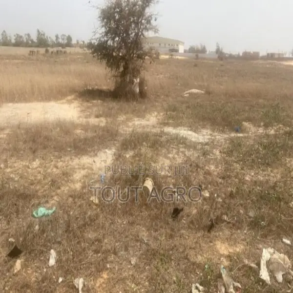 Terrain De 4,03 Hectares Vers Kayar