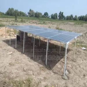 Verger De 4 Hectares Vers Ndame