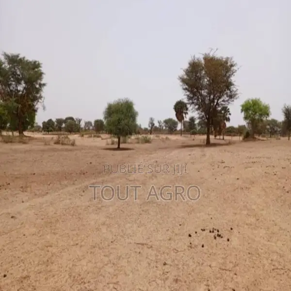 Terrain De 7067 M2 Vers Tassette