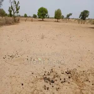 Terrain De 7067 M2 Vers Tassette