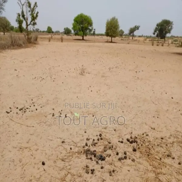 Terrain De 7067 M2 Vers Tassette