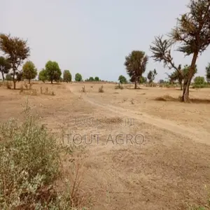 Terrain De 7067 M2 Vers Tassette