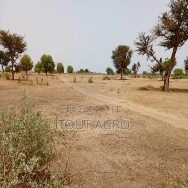 Terrain De 7067 M2 Vers Tassette