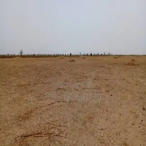 Photo - Terrain De 3,20 Hectares Vers Tassette