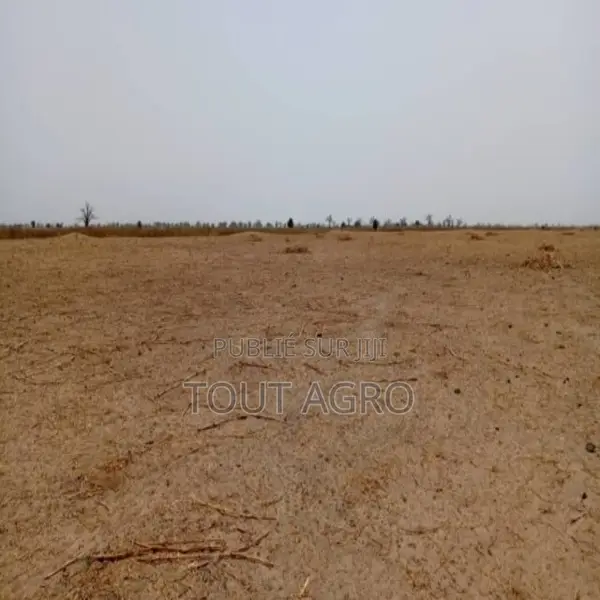 Terrain De 3,20 Hectares Vers Tassette