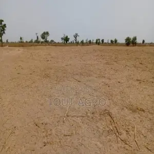 Terrain De 3,20 Hectares Vers Tassette