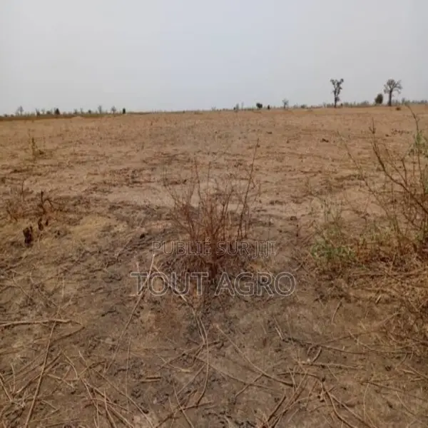 Terrain De 3,20 Hectares Vers Tassette