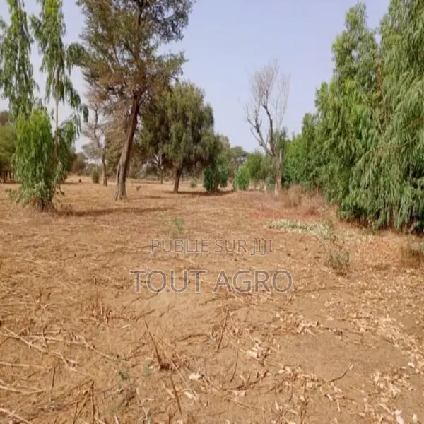 Terrain De 7923 M2 Vers Tassette