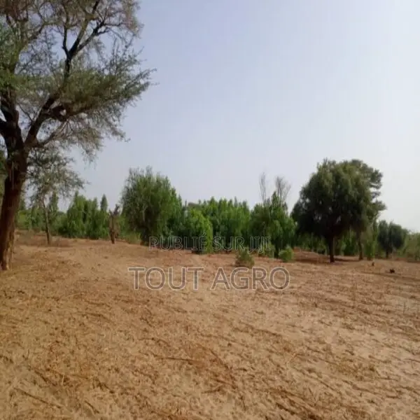 Terrain De 7923 M2 Vers Tassette