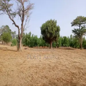 Terrain De 7923 M2 Vers Tassette