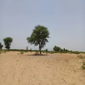 Photo - Terrain De 2,04 Hectares Vers Tassette