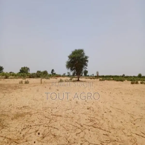 Terrain De 2,04 Hectares Vers Tassette