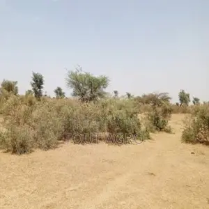 Photo - Terrain De 48 Hectares Vers Koul