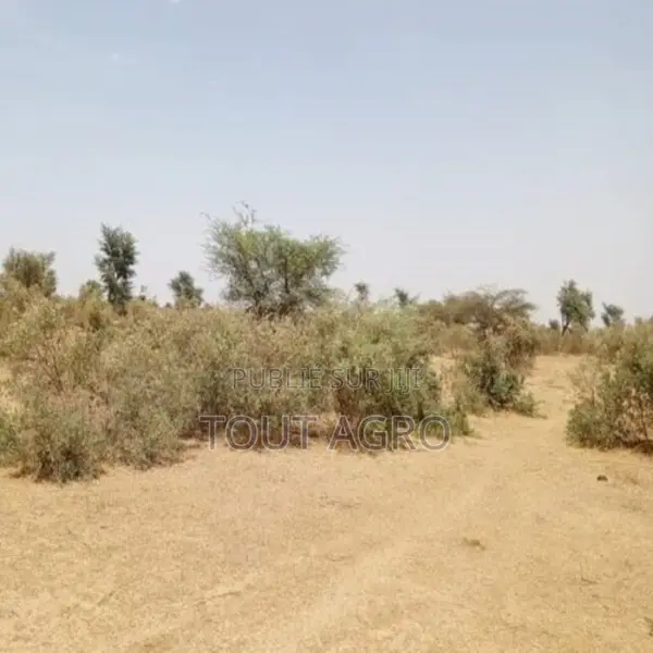 Terrain De 48 Hectares Vers Koul