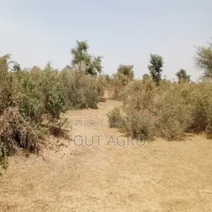 Terrain De 48 Hectares Vers Koul