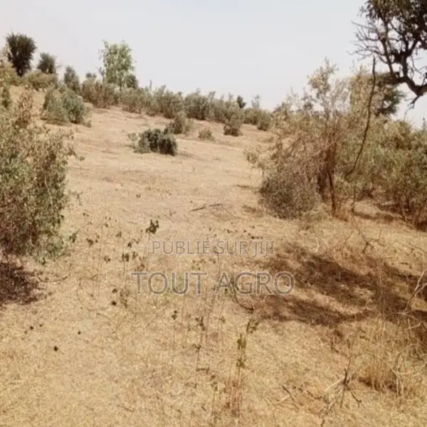 Terrain De 48 Hectares Vers Koul