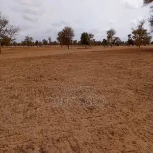 Photo - Terrain De 5,15 Hectares Vers Keur Samba Kane