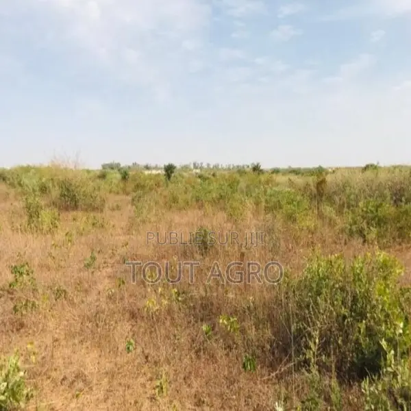 Terrain De 5791 M2 Vers Diass