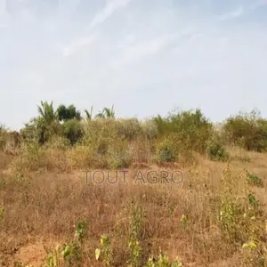 Terrain De 5791 M2 Vers Diass