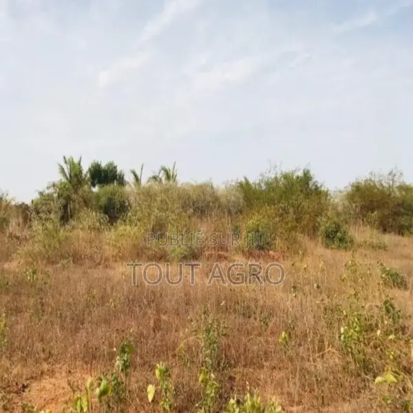 Terrain De 5791 M2 Vers Diass